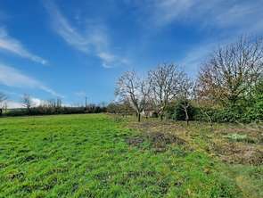 Vente Terrain 4790 m&sup2;Nueil-sur-Layon