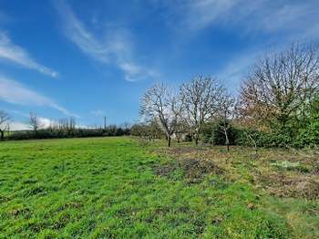 Vente de terrain Nueil-sur-Layon 49