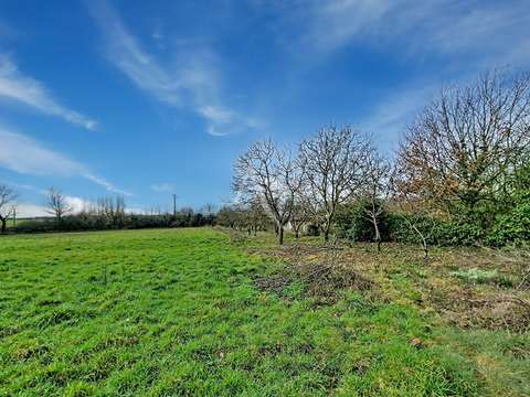 Vente de terrain Nueil-sur-Layon 49