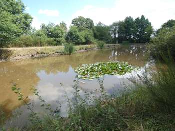 Photo Vente de terrain Nuillé-le-Jalais