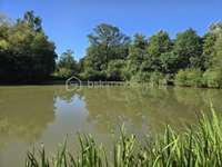 Vente de terrain Nuillé-sur-Vicoin - 53