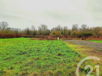 Vente de terrain