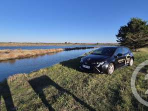 Vente Terrain 39590 m&sup2;Olonne-sur-Mer