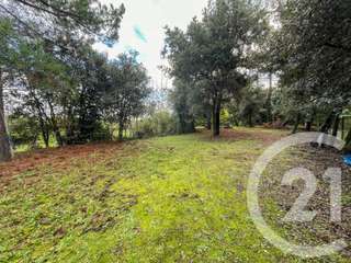 Vente de terrain