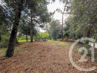 Vente de terrain