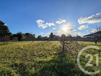 Vente de terrain