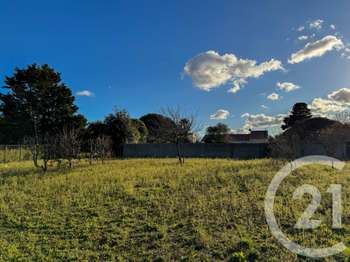 Vente de terrain