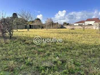 Vente de terrain