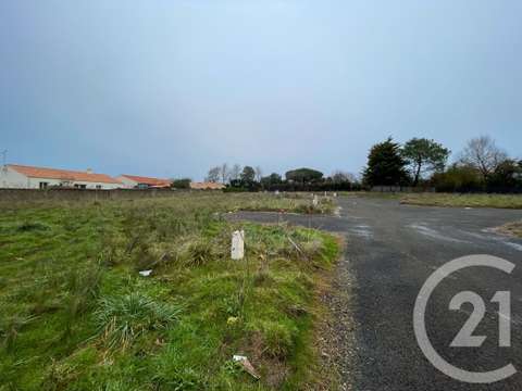 Vente de terrain