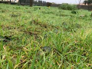 Vente Terrain 1067 m&sup2;Olonne-sur-Mer