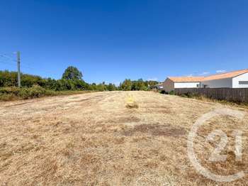 Vente Terrain 3649 m&sup2;Olonne-sur-Mer