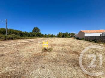 Vente de terrain