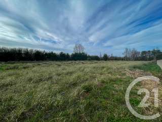 Vente de terrain