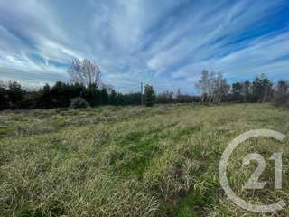 Vente de terrain
