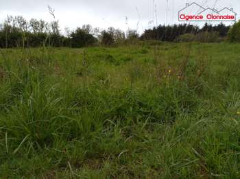 Vente de terrain Olonne-sur-Mer 85