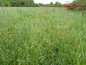 Vente Terrain 3144 m&sup2;Olonne-sur-Mer