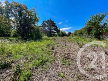 Vente de terrain
