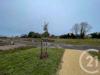 Vente de terrain