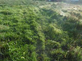 Vente de terrain