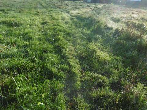 Vente de terrain
