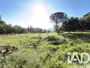 Vente Terrain 2703 m&sup2;Oms