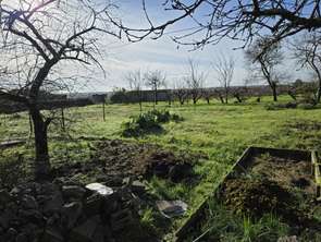 Vente Terrain 570 m&sup2;Orée d'Anjou