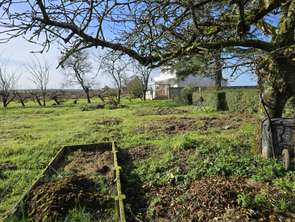 Vente Terrain 570 m&sup2;Orée d'Anjou