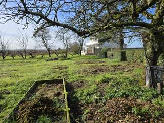 Vente de terrain