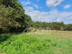 Vente Terrain 1179 m&sup2;Orvault