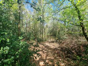 Vente Terrain 3637 m&sup2;Orvault