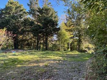 Vente Terrain 543 m&sup2;Oudon
