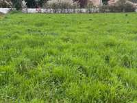 Vente de terrain