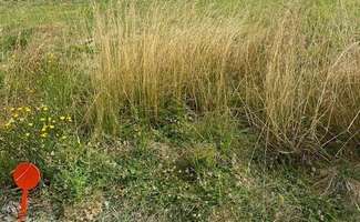 Photo Vente de terrain Oulmes