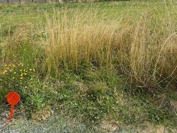 Photo Vente de terrain Oulmes