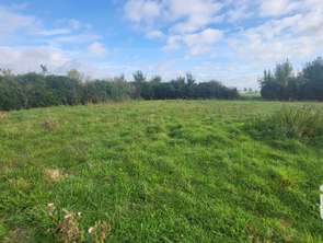 Vente Terrain 569 m&sup2;Pannes