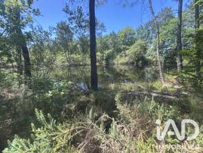 Vente Terrain 19310 m&sup2;Parcoul