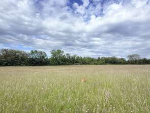 Vente Terrain 22802 m&sup2;Parisot