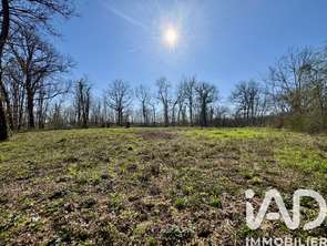 Vente Terrain 7404 m&sup2;Paulin