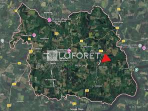 Vente Terrain 4102 m&sup2;Péaule