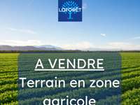 Vente de terrain