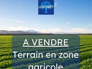Vente de terrain