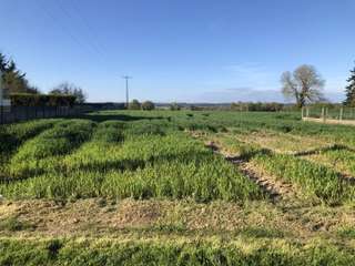 Vente de terrain