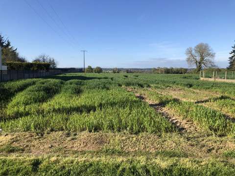 Vente de terrain Peillac 56