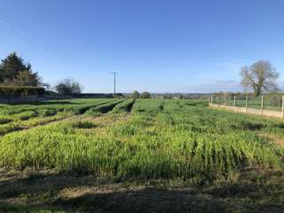 Vente de terrain