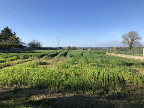 Vente de terrain Peillac 56