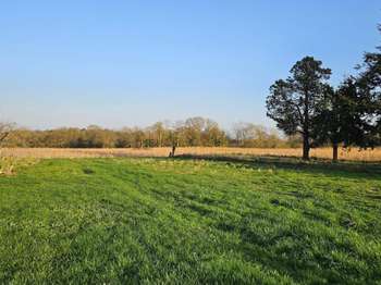 Vente de terrain Peillac 56