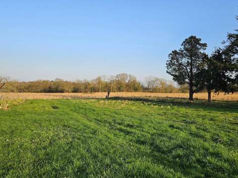 Vente de terrain Peillac 56