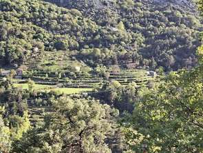 Vente Terrain 56500 m&sup2;Peille