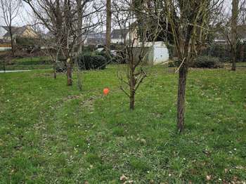 Vente de terrain