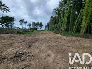 Vente Terrain 1875 m&sup2;Penguily